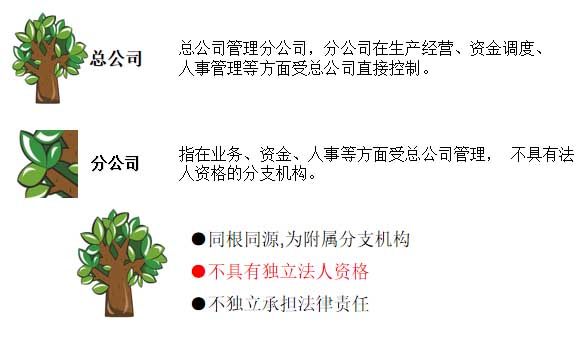1631498983861707.jpg 图片1.jpg